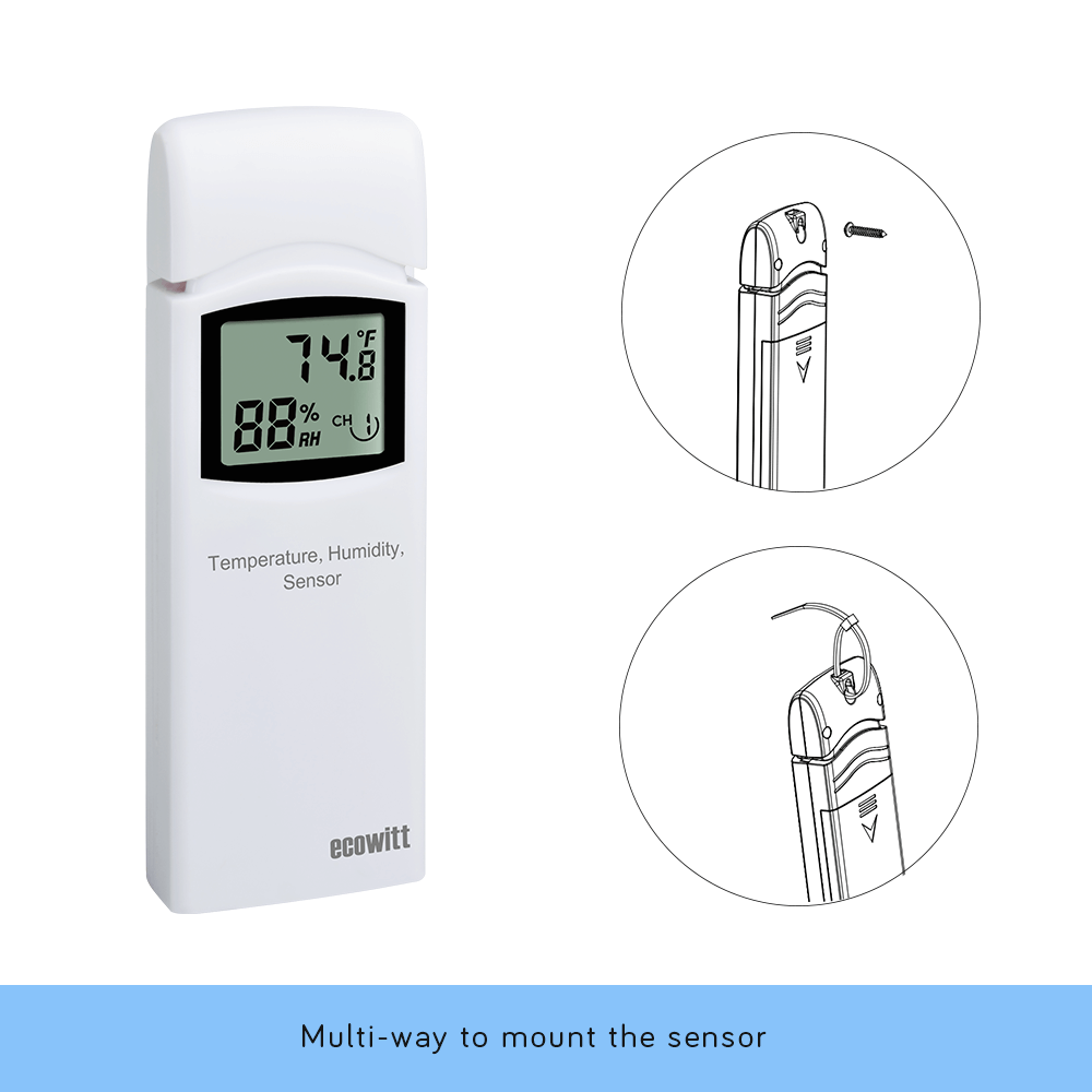 Professional weather products smart home product ecowitt